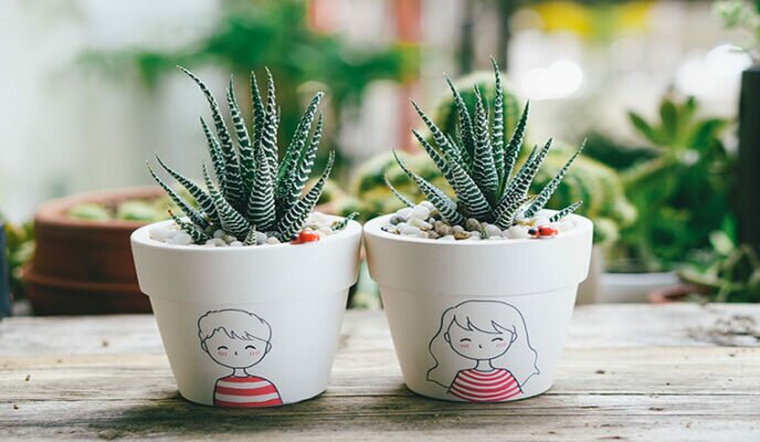 sen đá móng rồng